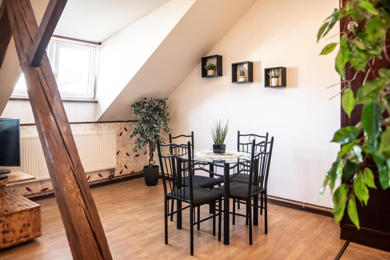 Apartment Podkrovni S Vyhledem Na Namesti Lomnice nad Luznici