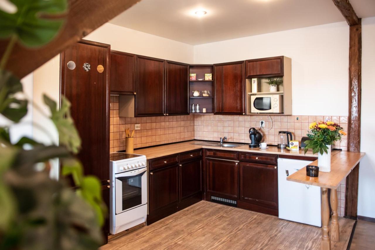 Apartment Podkrovni S Vyhledem Na Namesti Lomnice nad Luznici