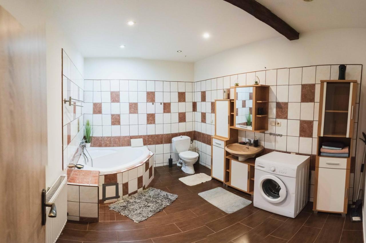 Apartment Podkrovni S Vyhledem Na Namesti Lomnice nad Luznici